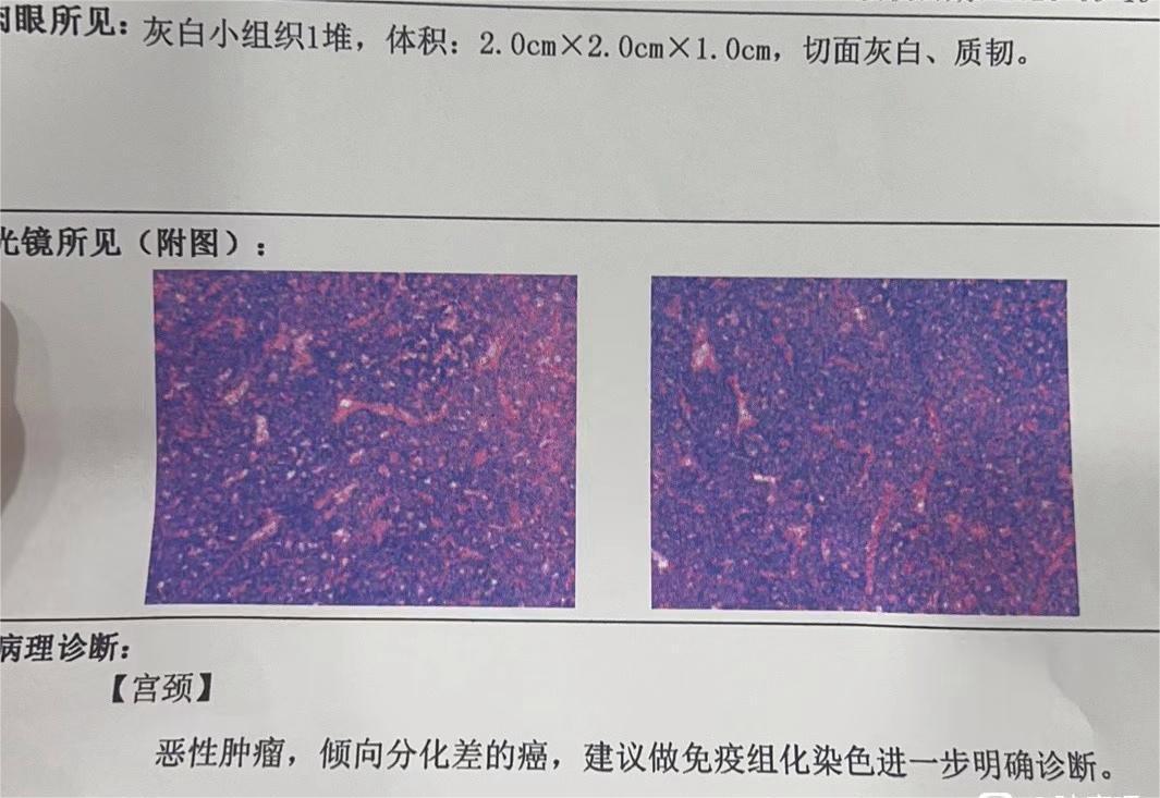 有懂的帮忙看一下属于几期